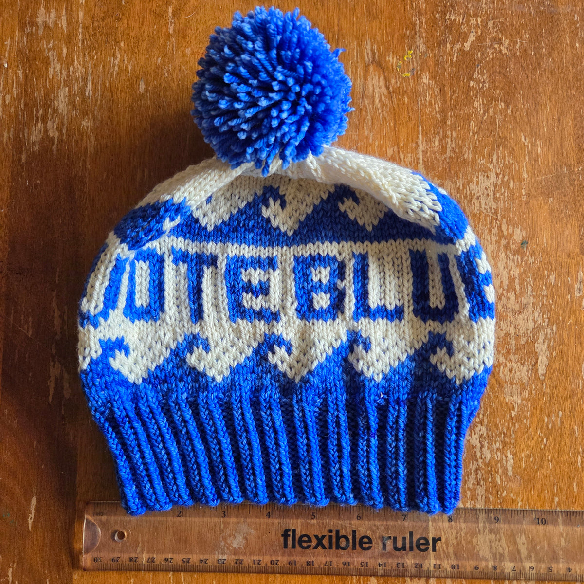 "VOTE BLUE" Winter Hat