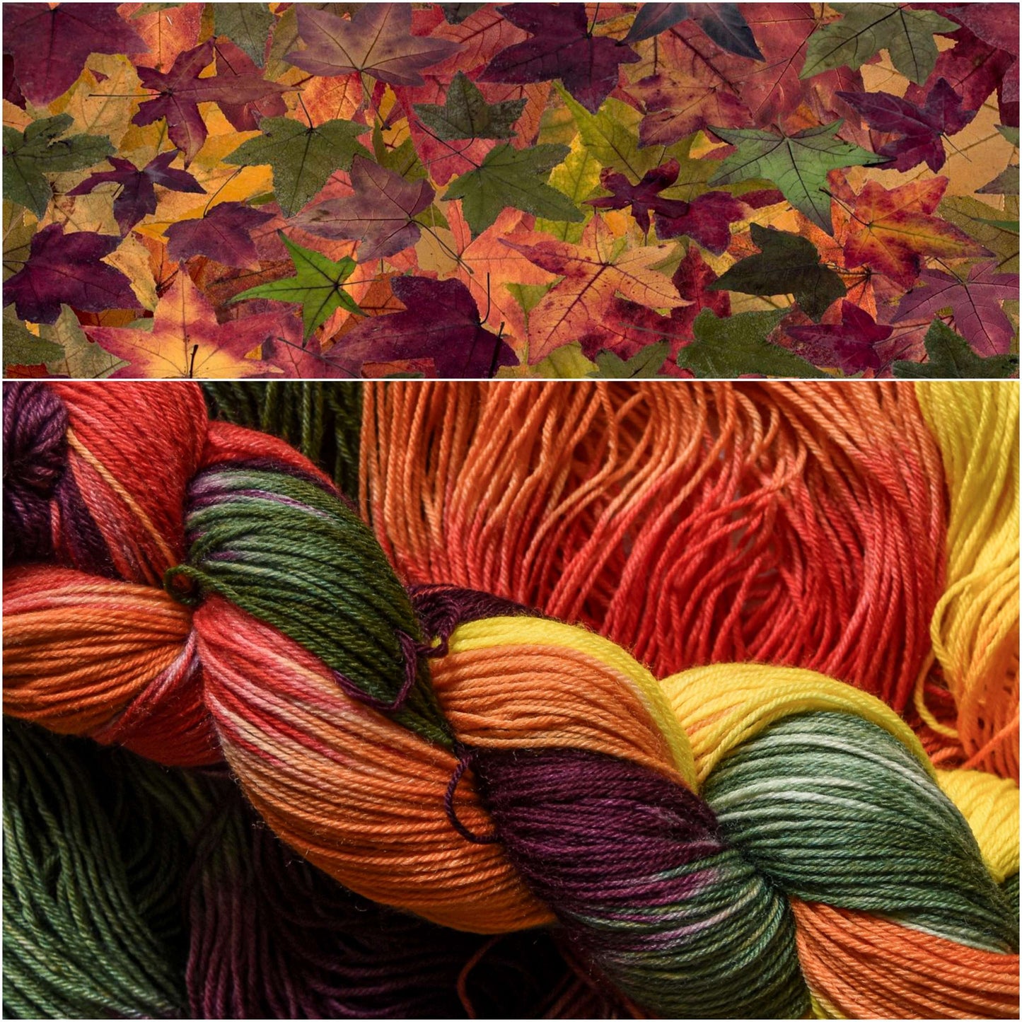 Fall Foliage image 2