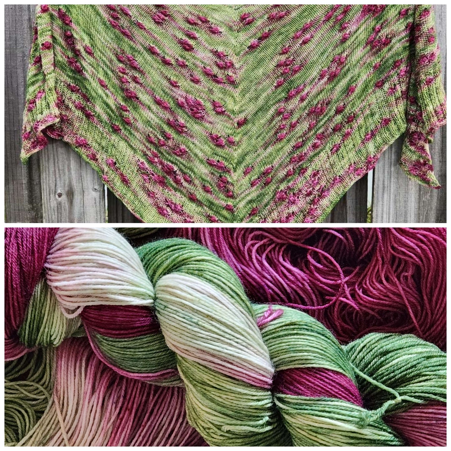 Purple Thistle image 5