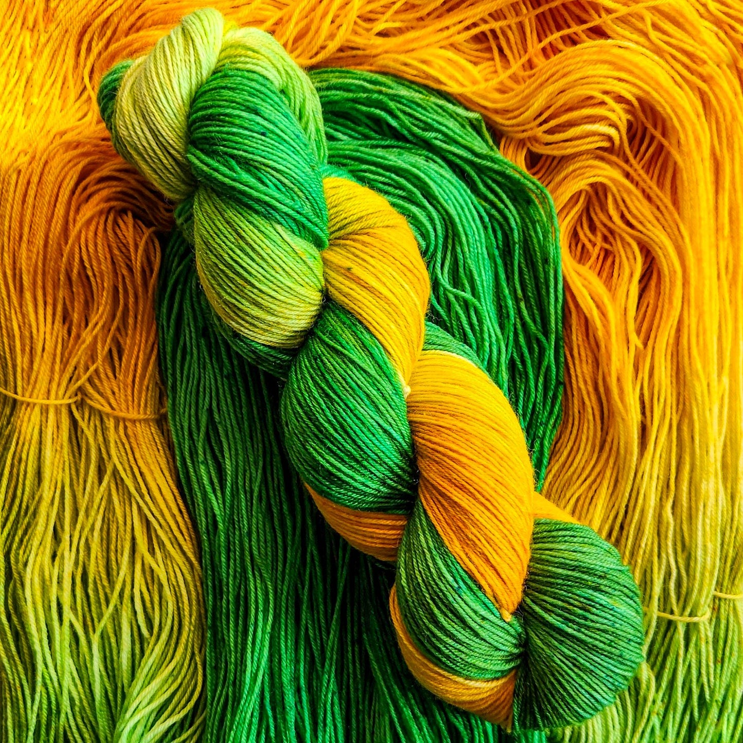 Marigold image 2