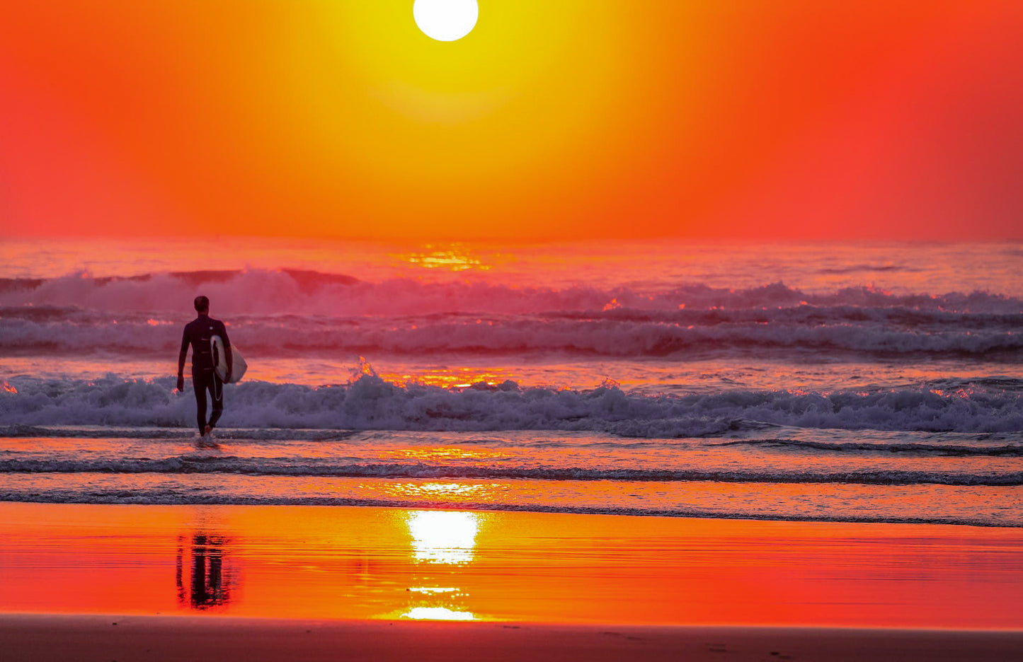 Endless Summer image 2