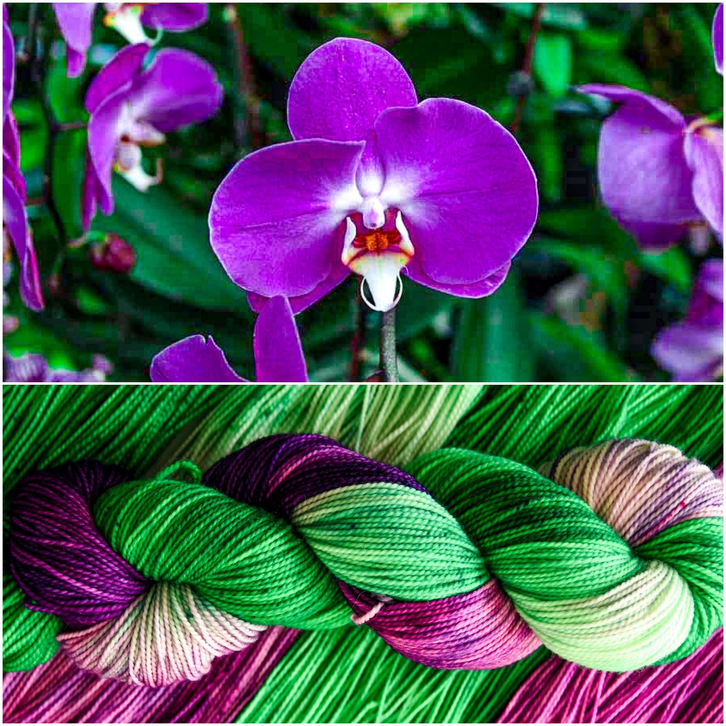 Spring orchid image 1