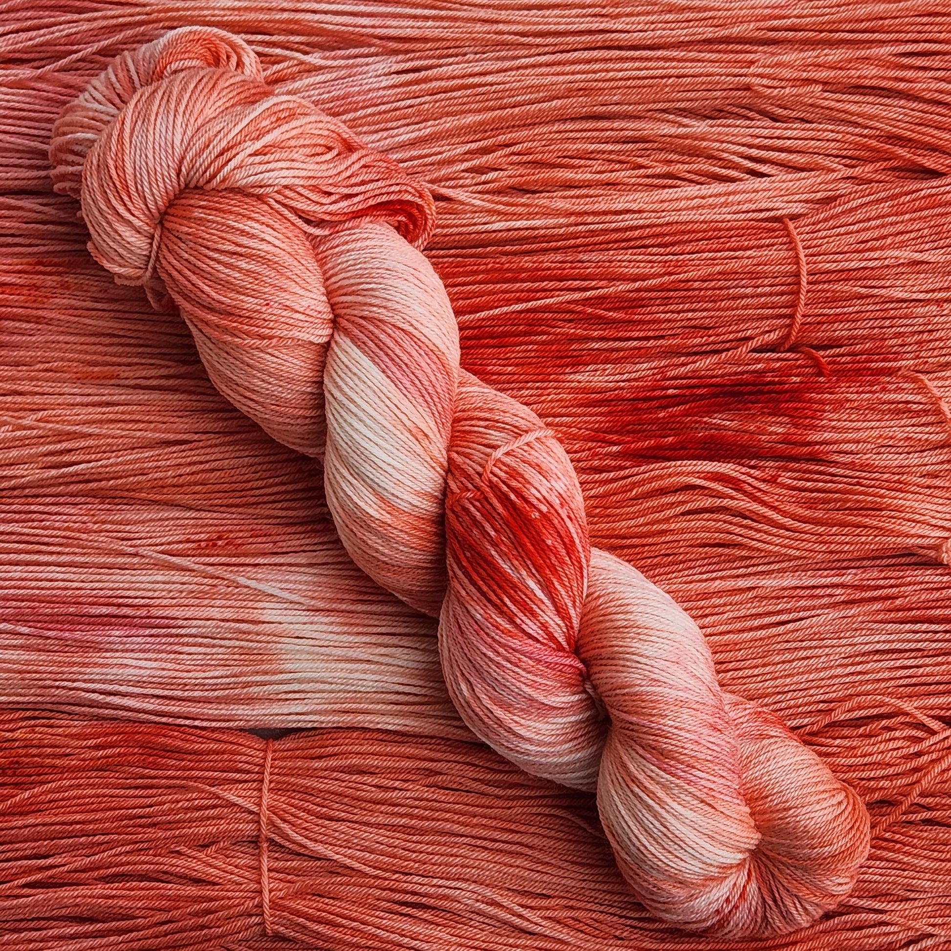 Red Snapper image 2