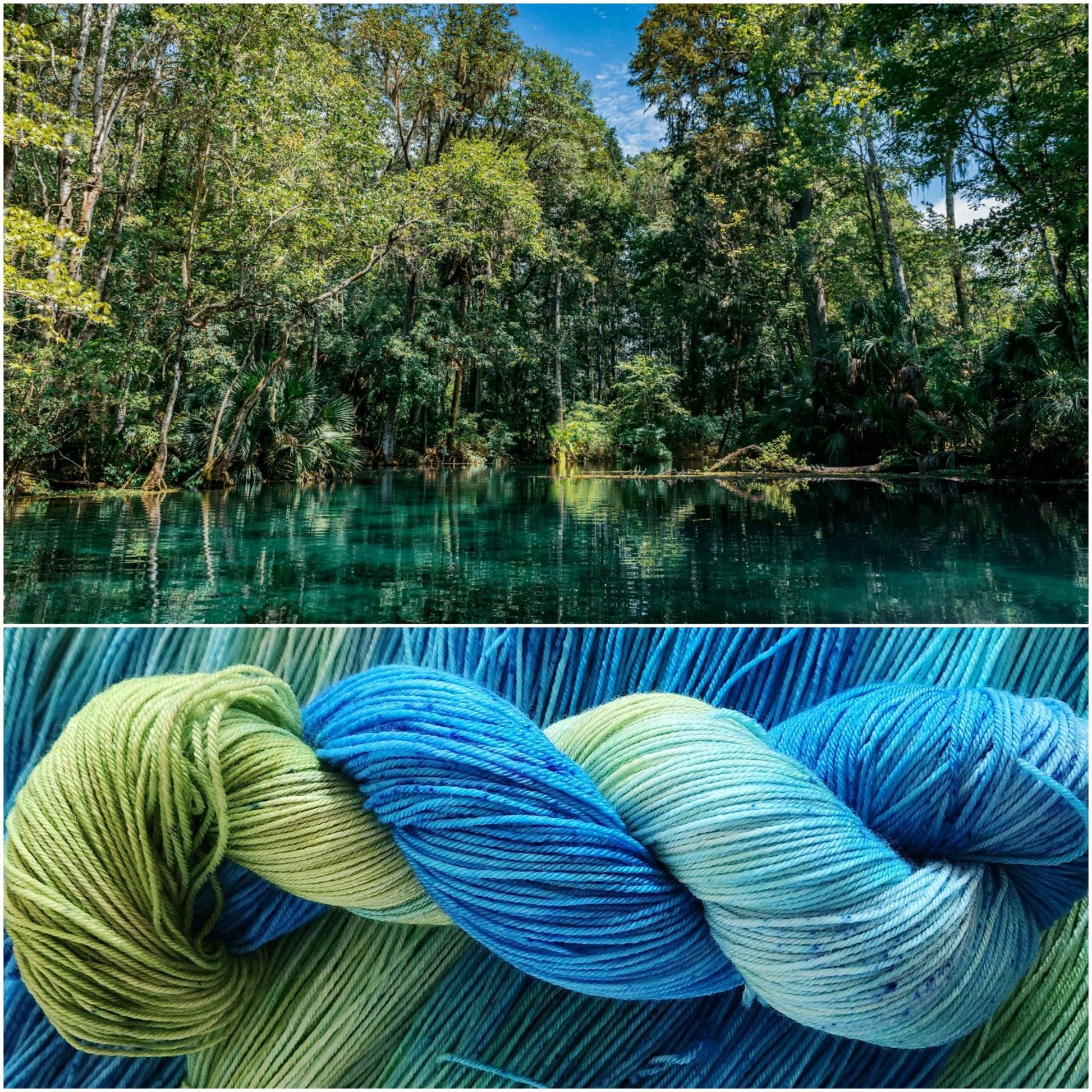 Weeki Wachee Springs image 1