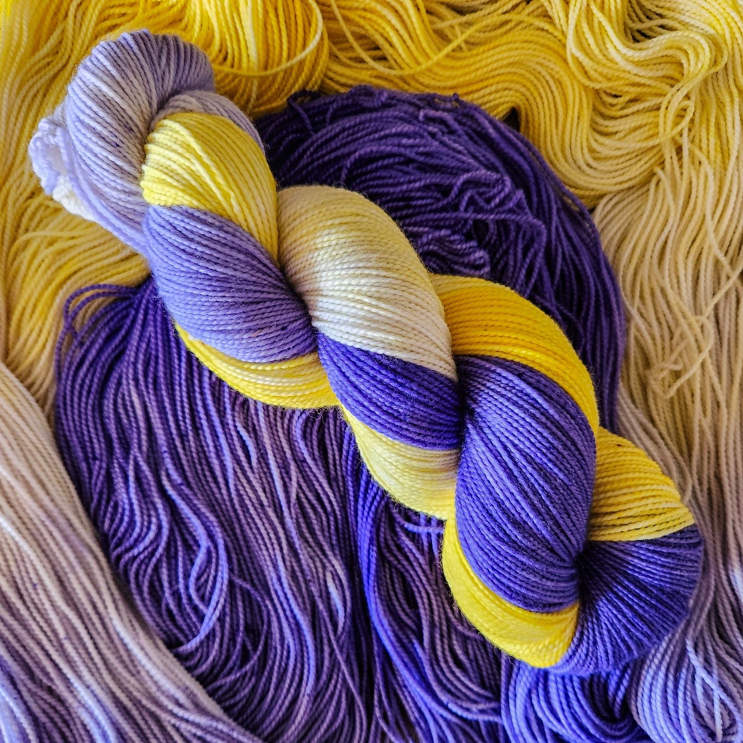 Iris image 2