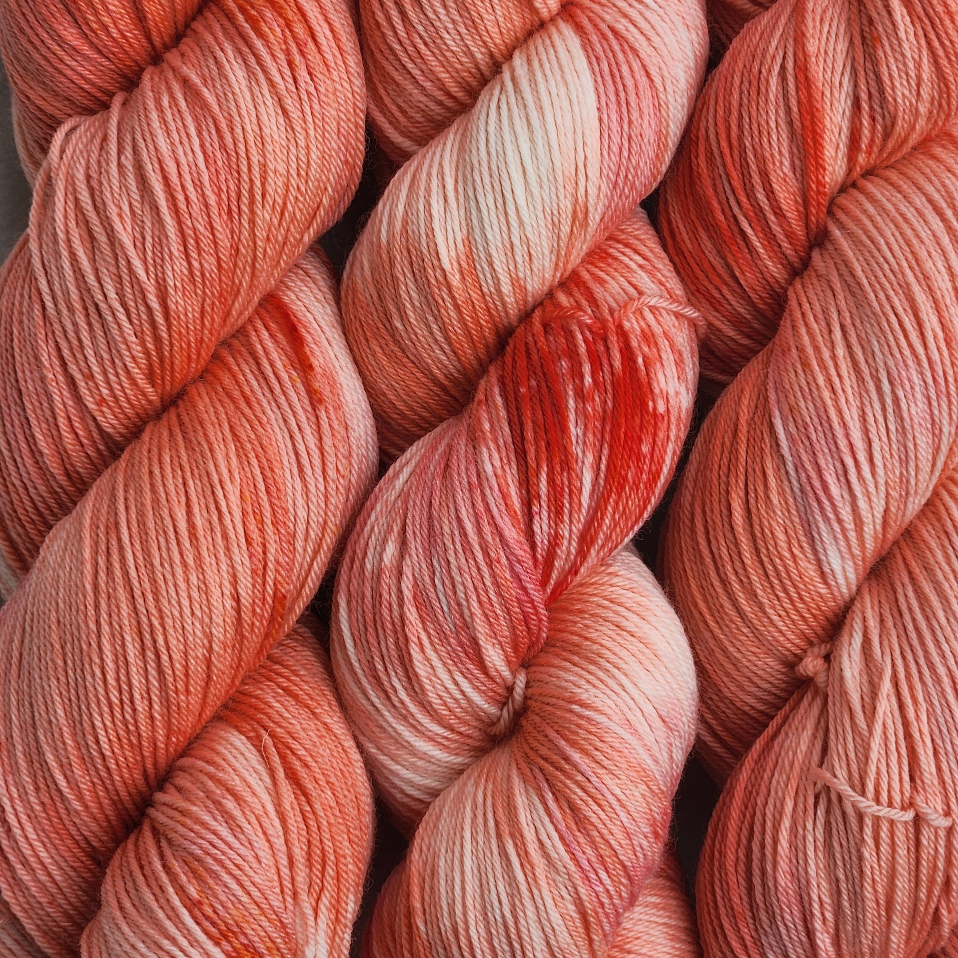 Red Snapper image 1