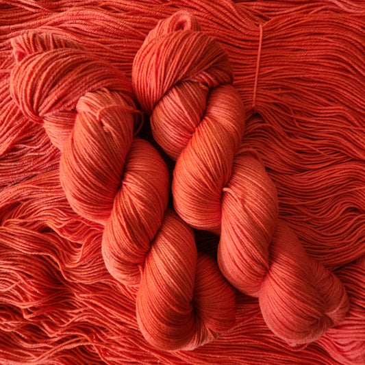 Spicy Red image 0