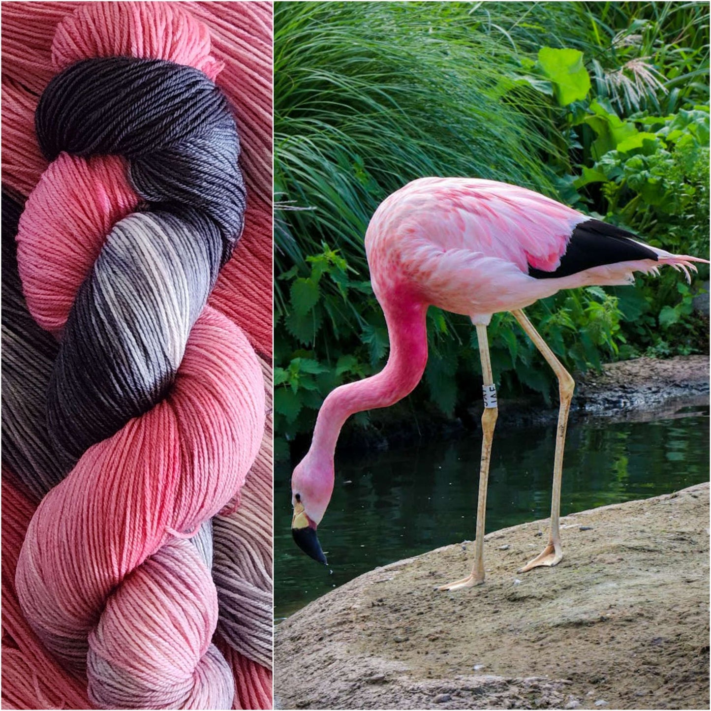 Pink Flamingo image 1