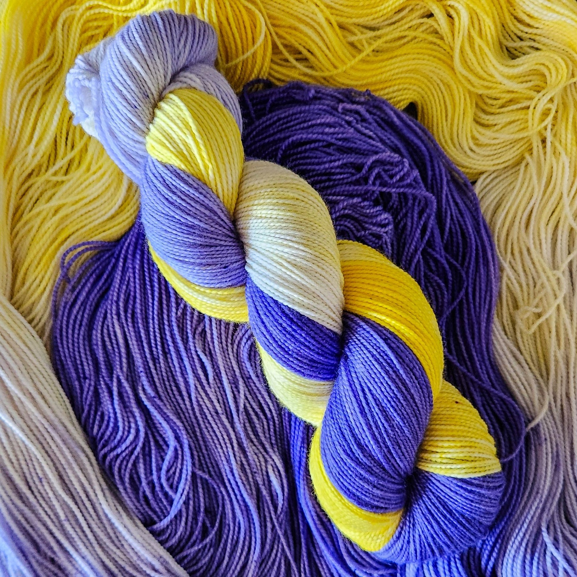 Iris image 3